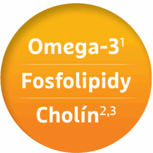 omega-3, fosfolipidy a cholín