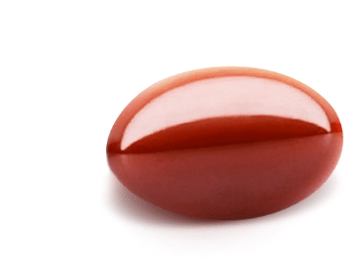 kapsula Metabolica Triplex