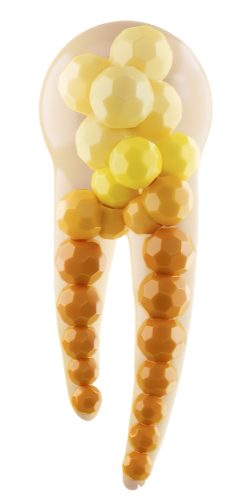 animácia fosfolipidu